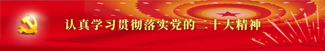 党建
